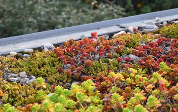 the cost of Kettletoft green roof installation